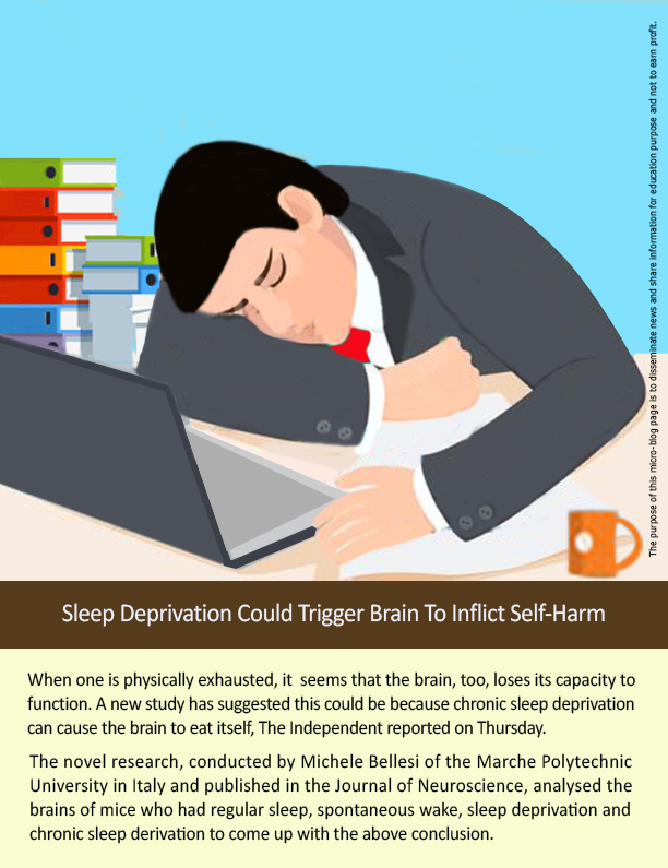 Sleep Deprivation Could Trigger Brain To Inflict Self Harm